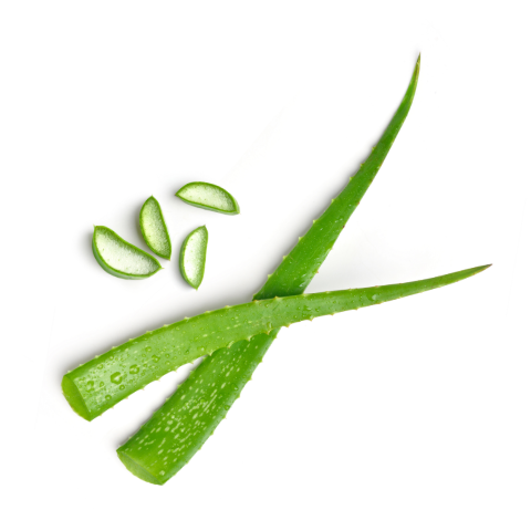 Aloe Vera Gel With 99% Organic Aloe Vera (300 ml)